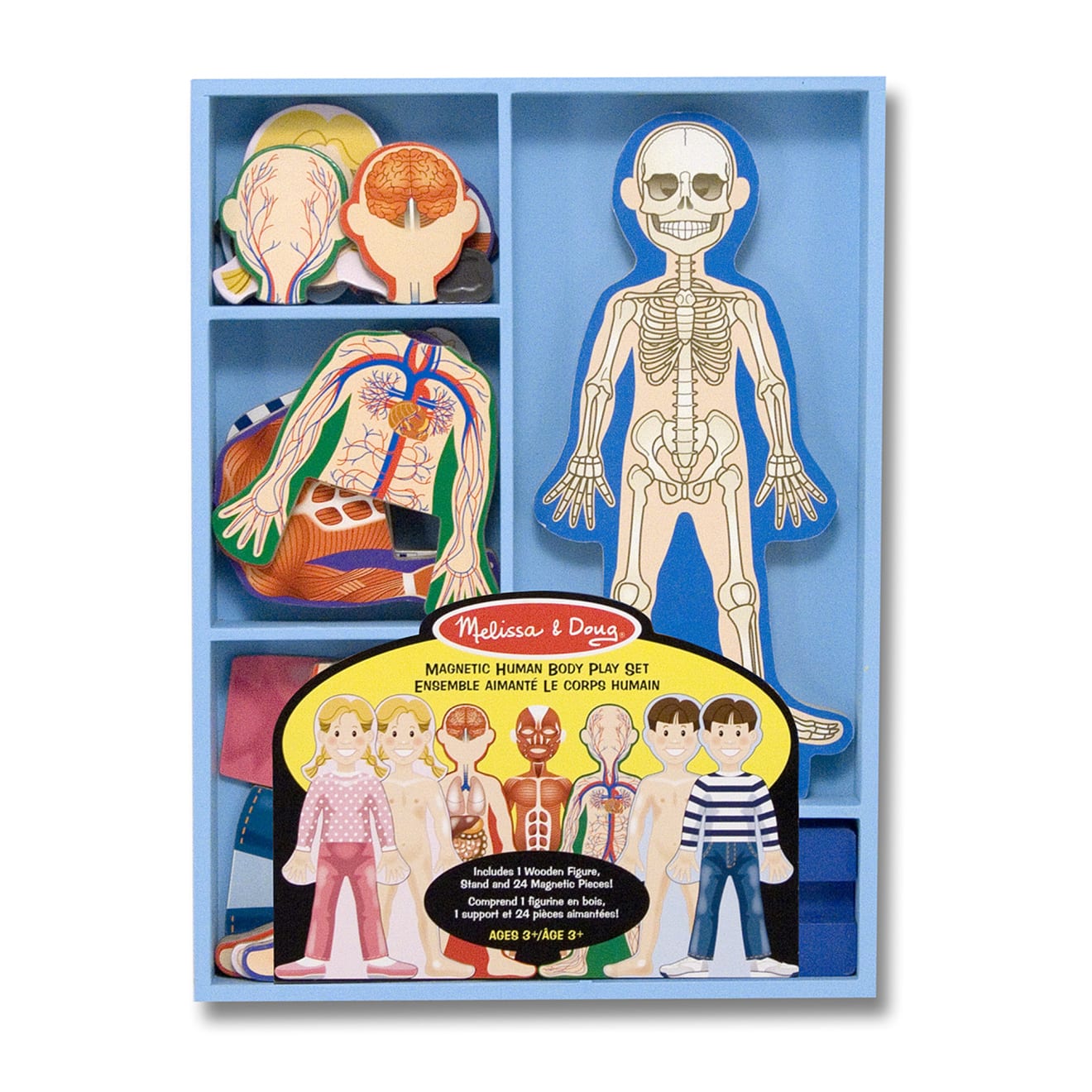 Magnetic Human Body Play Set